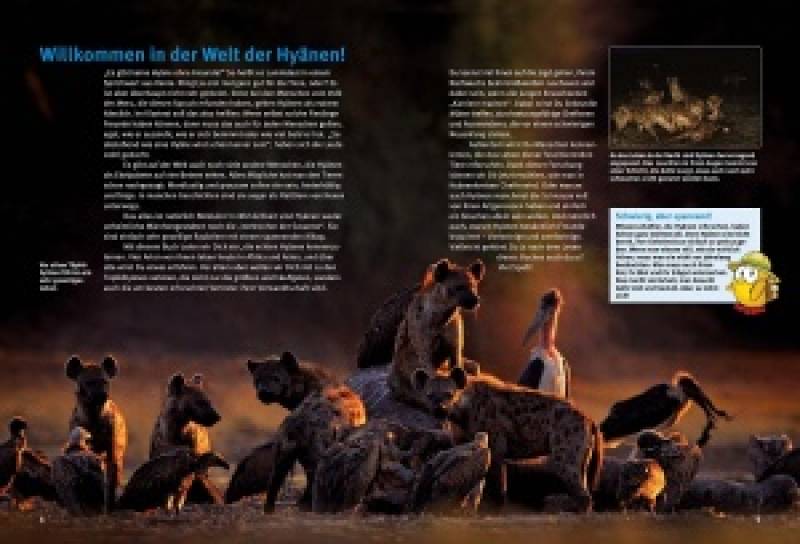 Preview: Entdecke die Hyänen